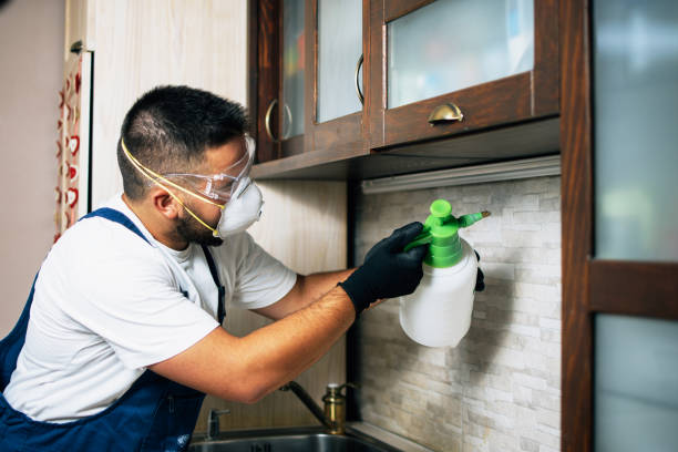 Best Wildlife Control Services  in Minnehaha, WA