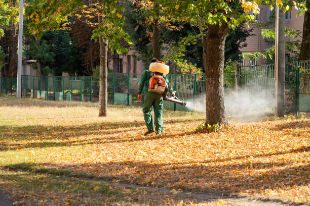 Best Pest Inspection Near Me  in Minnehaha, WA